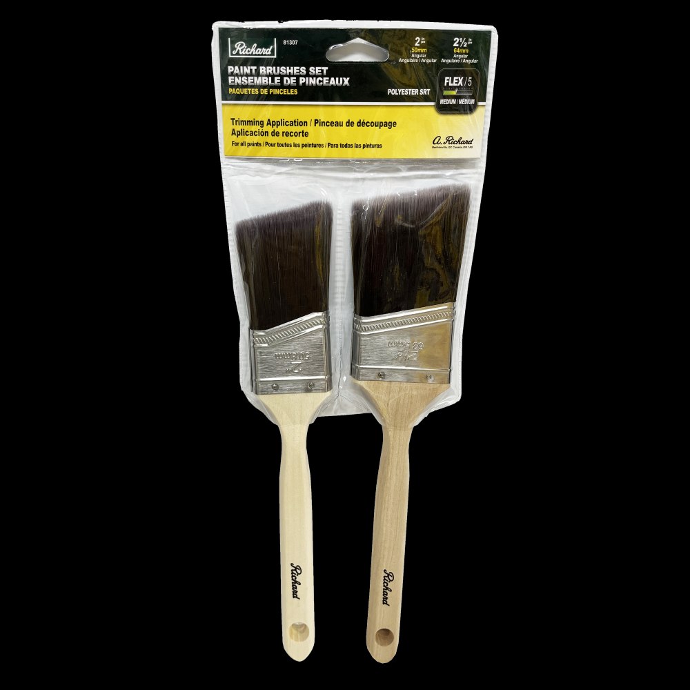 2-PCS PAINT BRUSH POLYESTER SR