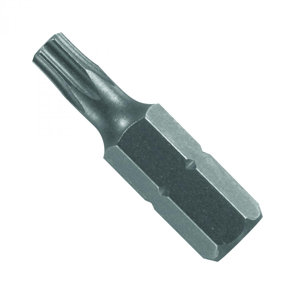 1 In. Torx T20 Insert Bit (Bulk)