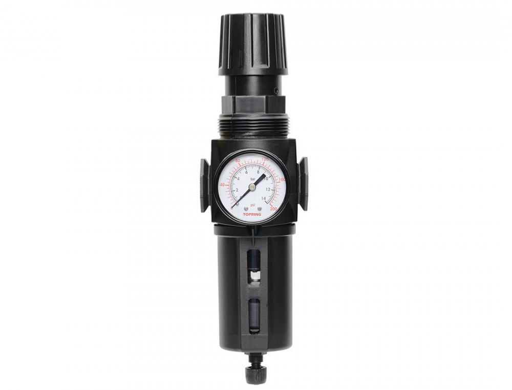 5 Micron Filter Regulator 30 to 125 PSI 3/8 (F) NPT S50