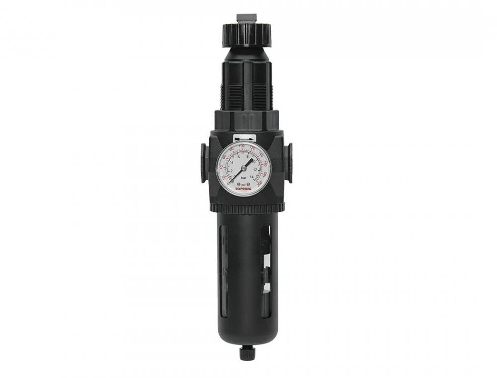 5 Micron Filter Regulator 0 to 125 PSI 3/4 (F) NPT S50