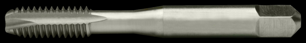 Plug Chamfer Low Shear Spiral Point Tap
