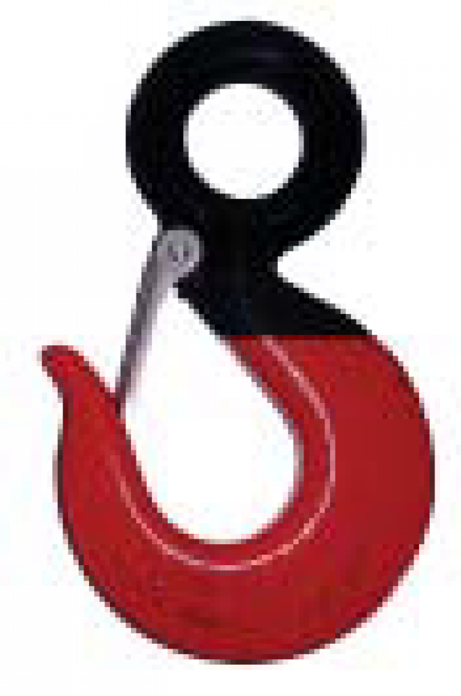 Hoist Hooks