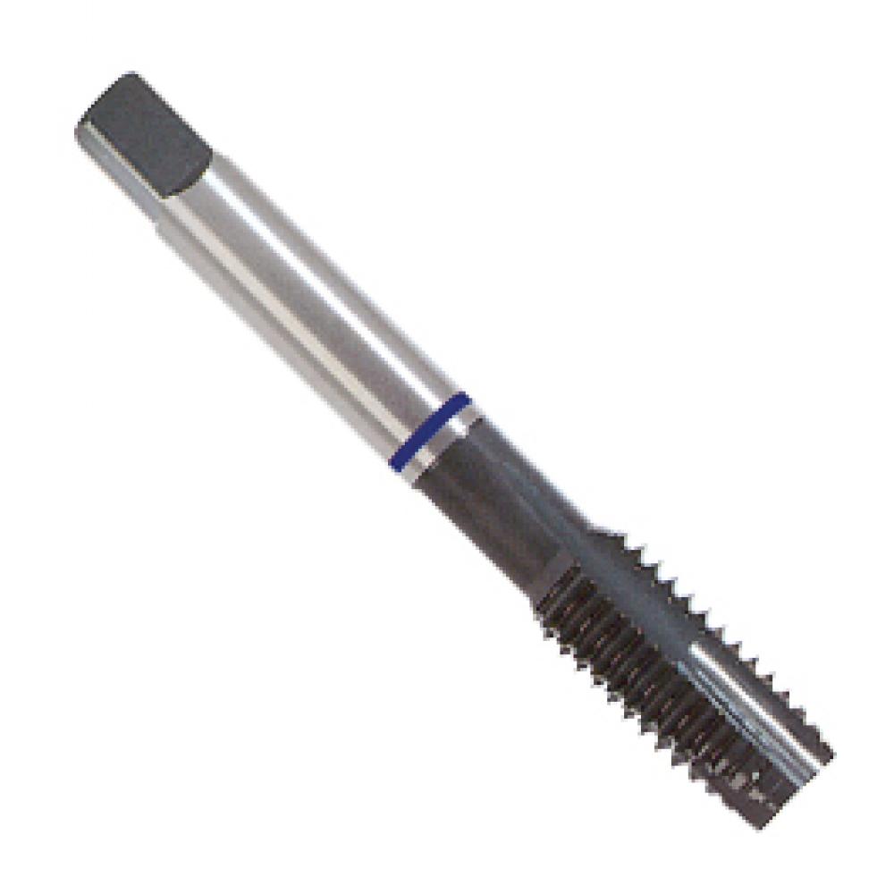 BLUE RING 3/4X10X2B UNC SPIRAL POINT
